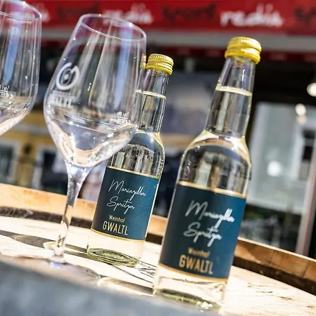 Sportredia マリアツェル